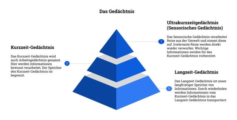 Gedächtnis verbessern: So funktioniert das Gedächtnis